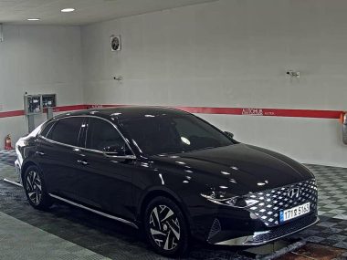 HYUNDAI THE NEW GRANDEUR IG HYBRID 2.4 HEV LE BLANC — фото 2