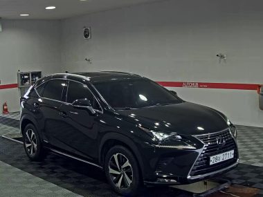 LEXUS NX 300h — фото 2
