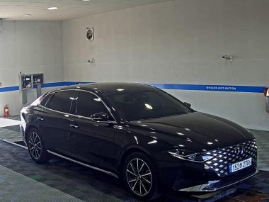 HYUNDAI THE NEW GRANDEUR IG GASOLINE 2.5 PREMIUM CHOICE — фото 2