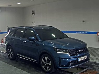 KIA NEW SORENTO HYBRID (MQ4) 1.6 HEV 2WD GRAVITY — фото 2
