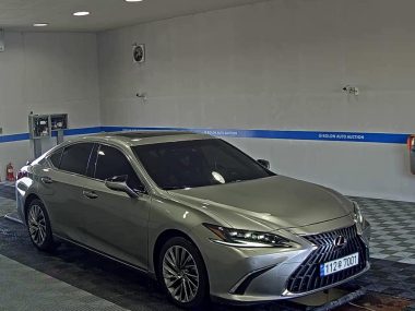 LEXUS ES (7TH GEN) 300h SUPREME — фото 2