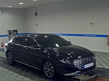 HYUNDAI THE NEW GRANDEUR IG GASOLINE 2.5 LE BLANC — фото 2
