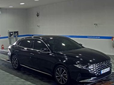 HYUNDAI THE NEW GRANDEUR IG GASOLINE 2.5 LE BLANC — фото 2