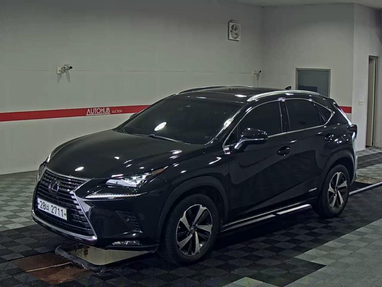 LEXUS NX 300h