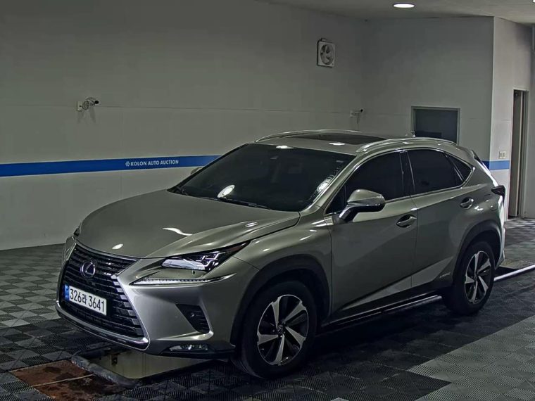LEXUS NX 300h
