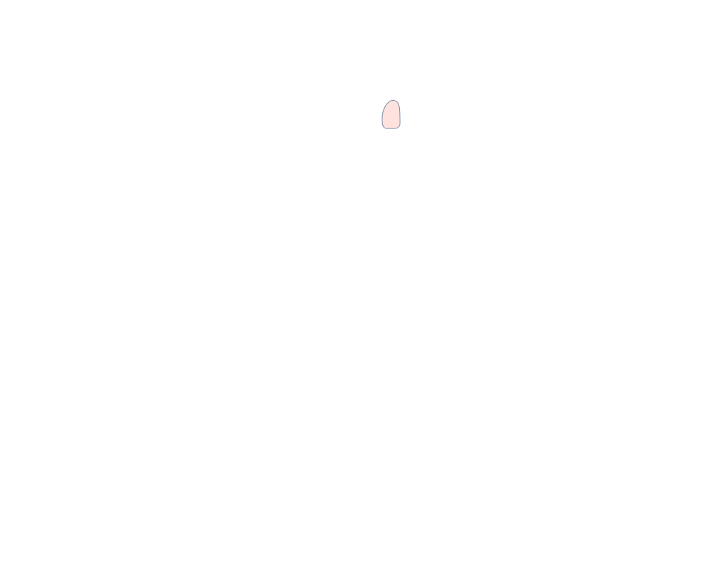 Side Mirror (Right)