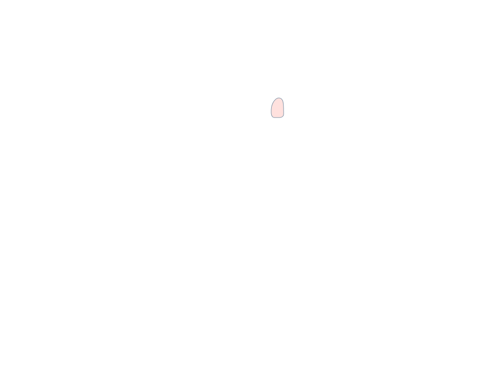 Side Mirror (Right)
