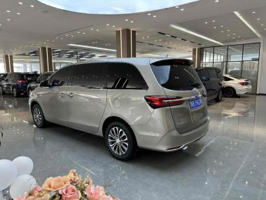 Buick GL8 Facelift Land Business Class 652T Luxury — фото 4