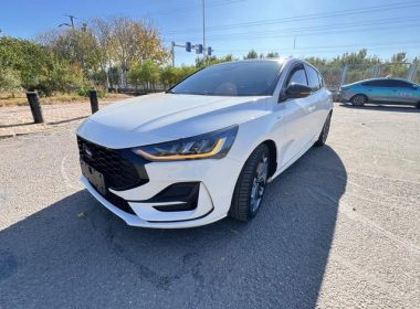 Ford Focus 2022, фото 1