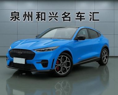 Ford Mustang Mach-E 2021, фото 1