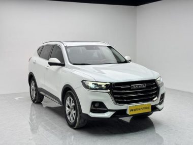 Haval H6 Trendy Edition 1.5T Auto Champion Edition — фото 3