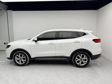 Haval H6 Trendy Edition 1.5T Auto Champion Edition — фото 4