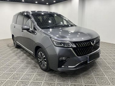 Wuling Jiachen 1.5T CVT Prestige Flagship Version — фото 3