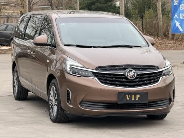Buick GL8 Land Business Class 652T Luxury — фото 3