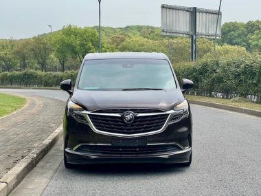 Buick GL8 ES Luzun 653T Premium — фото 2