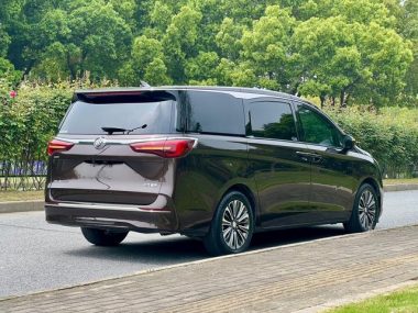 Buick GL8 ES Luzun 653T Premium — фото 4