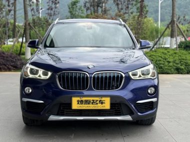BMW X1 xDrive25Le Luxury Version — фото 2