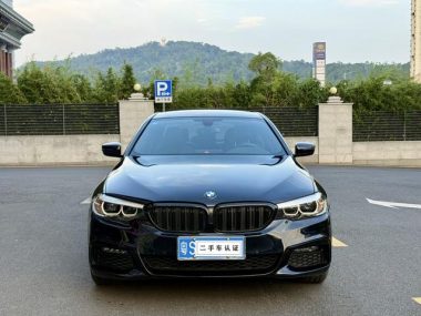 BMW 5-Series 525Li M Sport Package — фото 2
