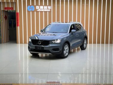 Volvo XC40 2020, фото 1