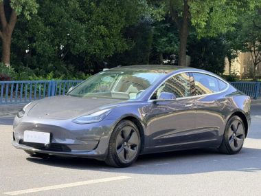 Tesla Model 3 (Import) 2019, фото 1