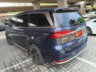 Roewe iMAX8 400TGI Supreme Series Supreme — фото 3