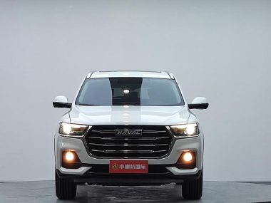 Haval H6 Guochao 1.5T AT Champion — фото 2
