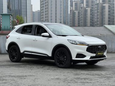 Ford Escape EcoBoost 245 — фото 3