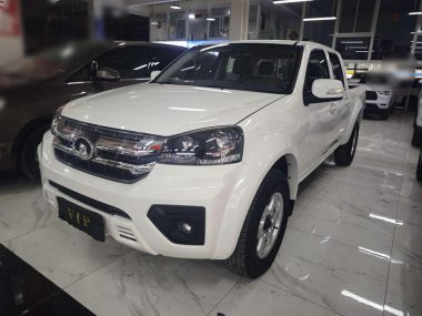 Great Wall Wingle 5 2023, фото 1