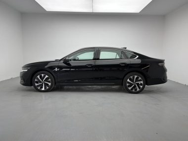 Volkswagen Magotan 300TSI Premium Eye-Catcher — фото 4
