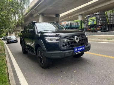 Great Wall POER 2.0T GW4C20B — фото 3