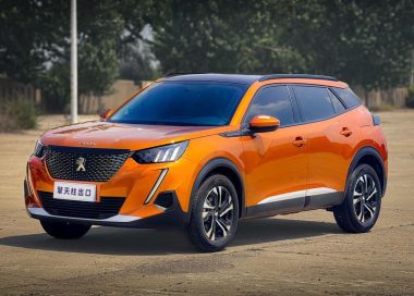 Peugeot 2008 2022, фото 1