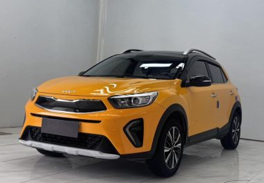 Kia Pegas 2022, фото 1