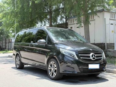 Mercedes-Benz V-Class V 260 Pilot — фото 3