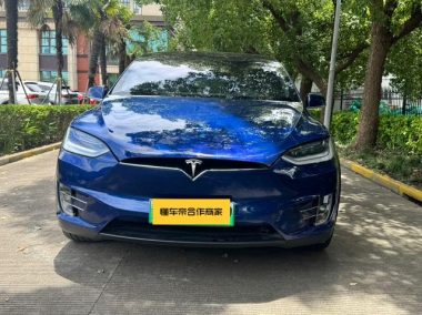 Tesla Model X Long Range — фото 2