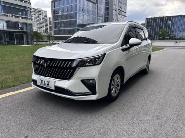 Wuling Jiachen 2022, фото 1