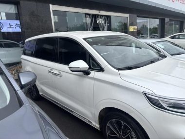 Roewe iMAX8 400TGI — фото 4