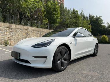 Tesla Model 3 (Import) 2019, фото 1