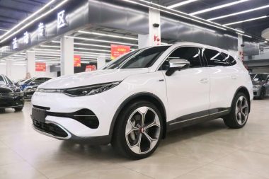 Denza X PHEV 2021, фото 1