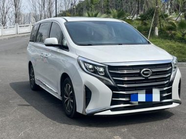 GAC Trumpchi Trumpchi M8 Lingxiu Series 390T Luxury — фото 3