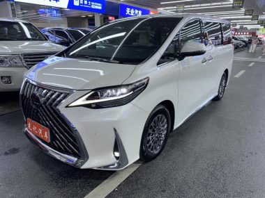 Lexus LM 2020, фото 1