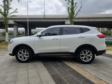 Haval H6 Guochao 1.5T AT Champion — фото 4