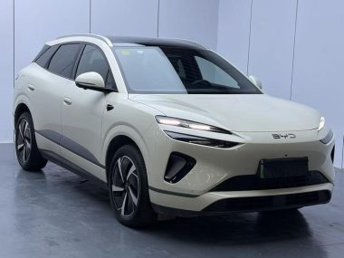 BYD Haishi 06 DM DM-i 205KM Plus — фото 3
