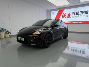 Tesla Model Y 2023, фото 1