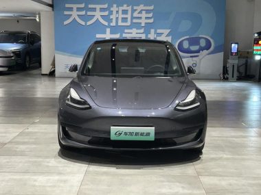 Tesla Model 3 Standard Range RWD Upgraded — фото 2