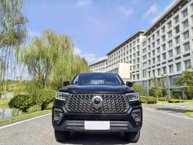 Great Wall POER 2.0T GW4D20M — фото 2