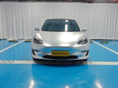 Tesla Model 3 Performance High Performance AWD — фото 2