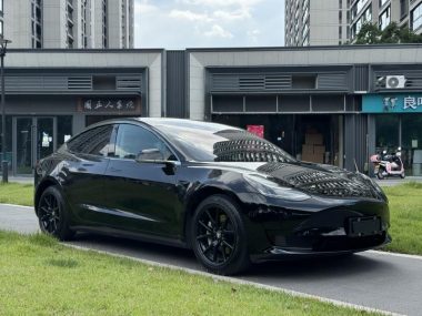 Tesla Model 3 Standard Range RWD Upgraded — фото 3