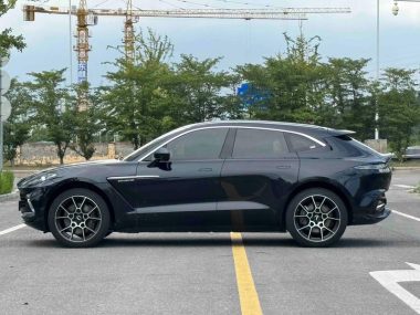 Aston Martin DBX 3.0T STRAIGHT SIX — фото 3