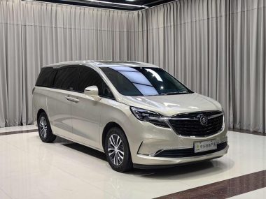 Buick GL8 ES Luzun 653T Premium — фото 3