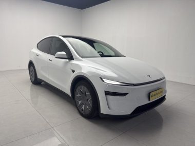 Tesla Model Y L Standard — фото 3